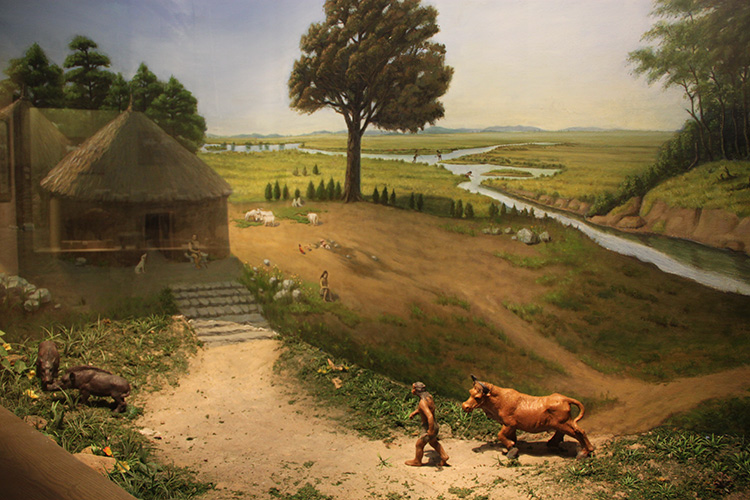 中华农业文明陈列 畜牧起源与传播 新石器时代的畜牧起源