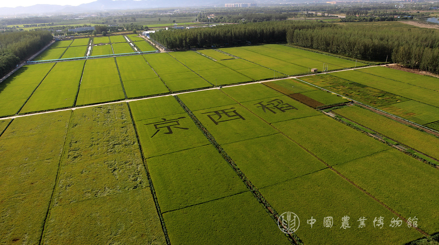 华北地区 - 全国农业展览馆(中国农业博物馆) - 全国